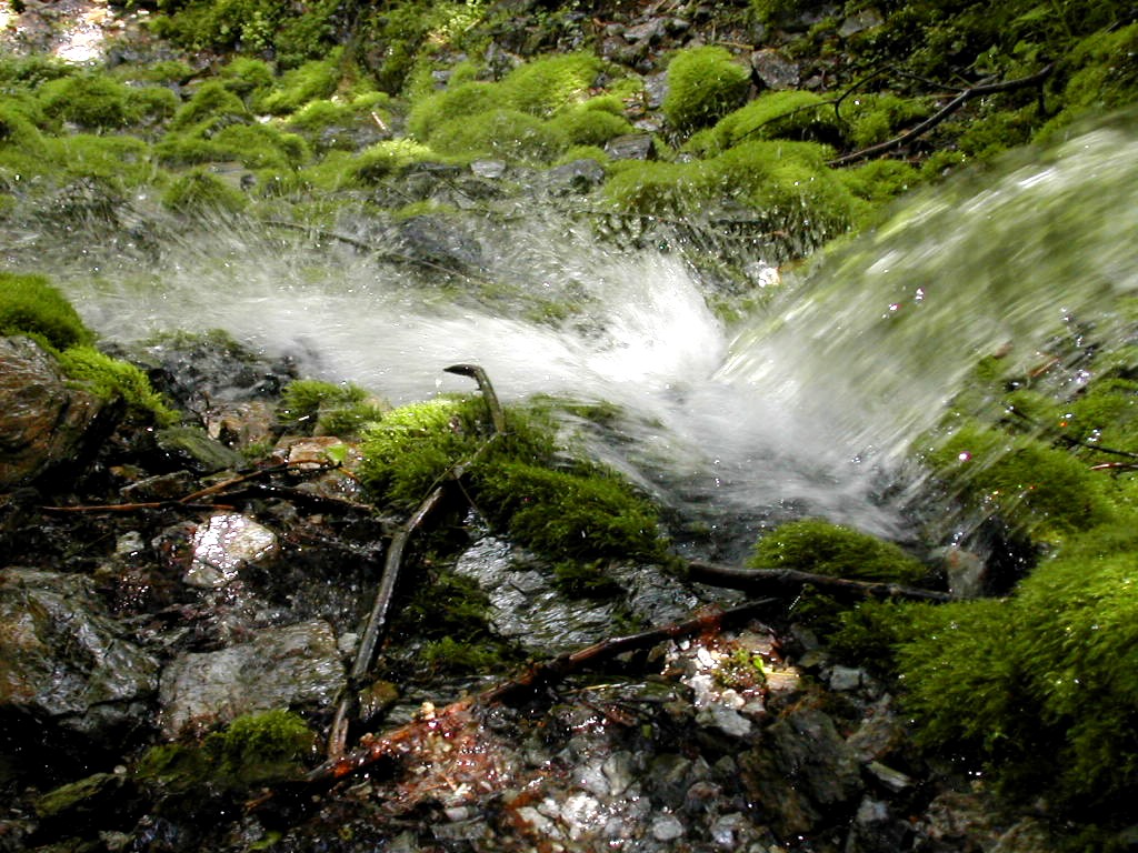 (Photo of Equinox Upper Spring)